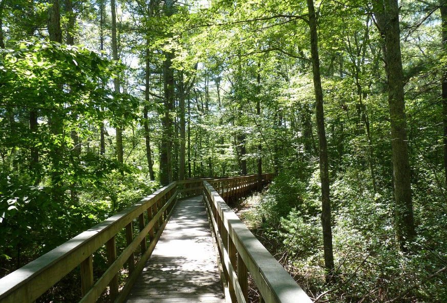 Arcadia Management Area, Rhode Island, USA